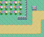 Route 117 - Pokémon Ruby / Sapphire