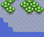Route 127 - Pokémon Ruby / Sapphire