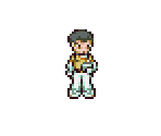 Examiner - Pokémon Ranger