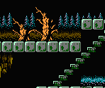 Sadam Woods - Castlevania 2: Simon's Quest