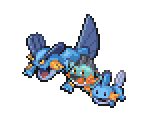 Mudkip, Marshtomp & Swampert - Pokémon Ranger