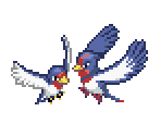 Taillow & Swellow - Pokémon Ranger