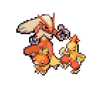 Torchic, Combusken & Blaziken - Pokémon Ranger