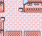 Cinnabar Island - Pokémon Red / Blue