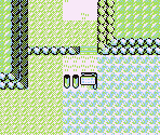 Route 03 - Pokémon Red / Blue
