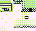 Route 04 - Pokémon Red / Blue