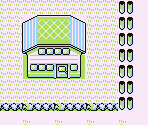Route 05 - Pokémon Red / Blue