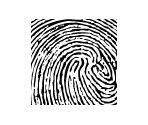 Fingerprints - Phoenix Wright: Ace Attorney: Spirit of Justice