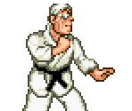 Genma Saotome (Human) - Ranma ½ Customs