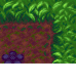 Mystery Jungle 01F - 15F - Pokémon Mystery Dungeon: Explorers of Time / Darkness
