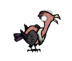 Buzzard - Don't Starve / Don't Starve Together