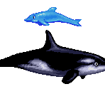 Dolphin & Orca - Sonic the Hedgehog Customs