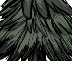 Evergreens - Don't Starve / Don't Starve Together