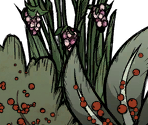 Berry Bushes - Don't Starve / Don't Starve Together
