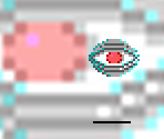 Cyber Pox - The Catacomb Apocalypse