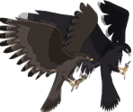 Hawks - Naruto Online