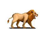 Lion - B. Rap Boys
