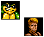 Portraits - Battletoads and Double Dragon
