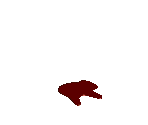 Zealot Blood - Diablo 2 / Diablo 2: Lord of Destruction