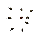 Rat - Diablo 2 / Diablo 2: Lord of Destruction
