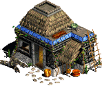 House - Age of Empires II