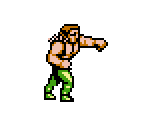 Rowper - Double Dragon IV