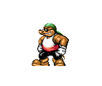 Boss 03 - Bomber Mole - High Seas Havoc