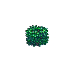 Bushes - Stardew Valley