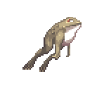 Toad - Koumajou Densetsu II: Stranger's Requiem