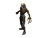 Radament - Diablo 2 / Diablo 2: Lord of Destruction