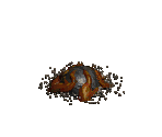 Sand Maggot Egg - Diablo 2 / Diablo 2: Lord of Destruction
