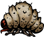 Maggot - Darkest Dungeon
