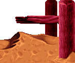 Beach World - 2 - Jazz Jackrabbit 2 / The Secret Files