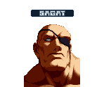 Sagat - SNK vs. Capcom: SVC Chaos