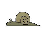 Snail - Seiklus
