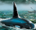 Setup Images - Nancy Drew: Danger on Deception Island