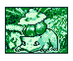 Card Set (GBC) - Pokémon Trading Card Game
