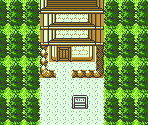 Violet City - Pokémon Gold / Silver