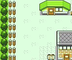 Viridian City - Pokémon Gold / Silver