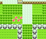 Route 01 - Pokémon Gold / Silver