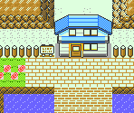 Route 25 - Pokémon Gold / Silver