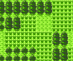 Route 29 - Pokémon Gold / Silver