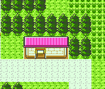 Route 30 - Pokémon Gold / Silver