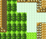 Route 32 - Pokémon Gold / Silver