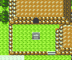 Route 33 - Pokémon Gold / Silver