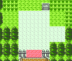 Route 46 - Pokémon Gold / Silver