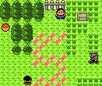 Tileset (Morning) - Pokémon Crystal