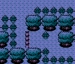 Ilex Forest - Pokémon Crystal