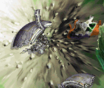Rasheans Forest - Crash Site - Tales of Eternia / Tales of Destiny II