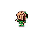 Photo Ops - The Legend of Zelda: Link's Awakening / DX